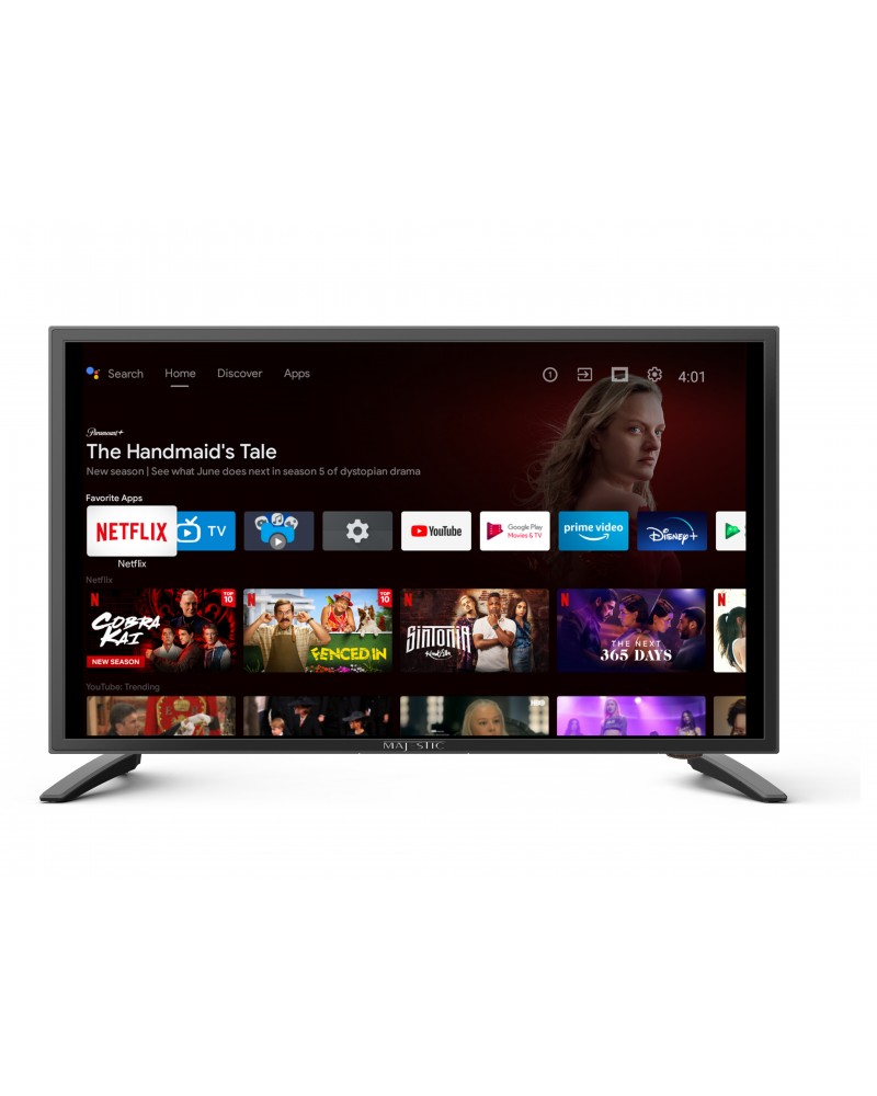24" LED smart Satellite TV